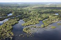 March-14th-2009,-Manaus,-Amazonas-State-(Brasil)-Aerial-view-of-the-Anavilhanas-archipelago-on-the-Rio-Negro-near-Manaus,-Brazil_200